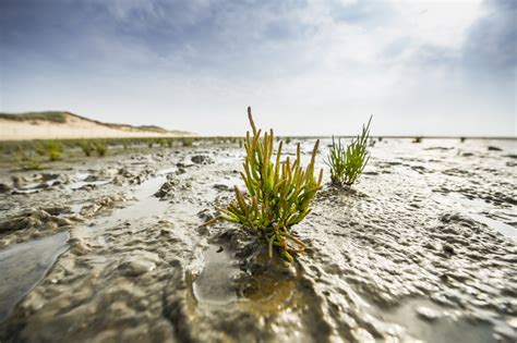 schleswig holstein streifzug von k ste Doc