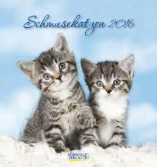 schmusekatzen 2016 postkartenkalender tierkalender teneues Reader