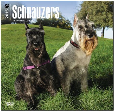 schnauzers 2015 square 12x12 multilingual edition Kindle Editon