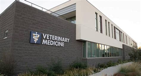 schools of veterinary medicine in the us