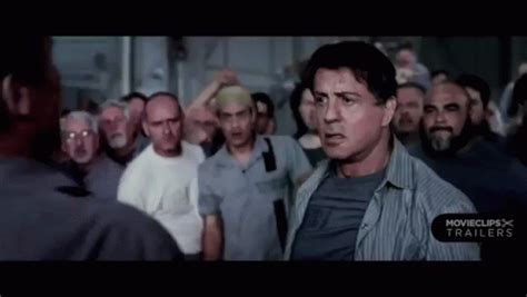 schwarzenegger and stallone gif