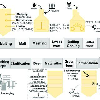 science analysis needed brewing process PDF