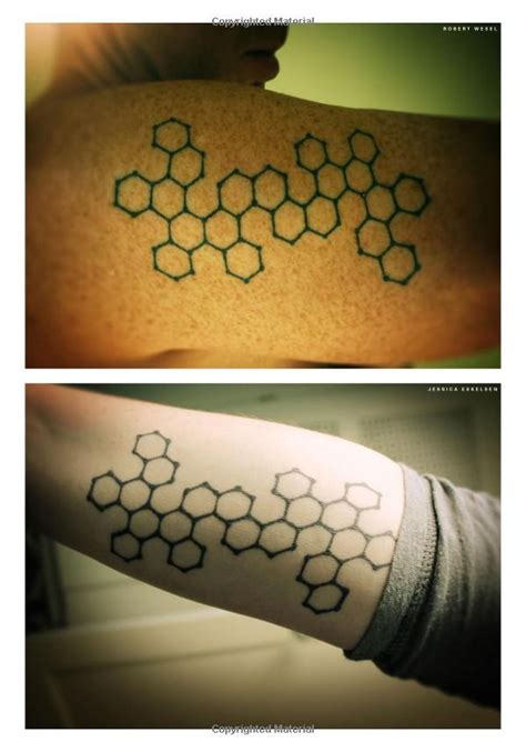 science ink tattoos of the science obsessed Kindle Editon