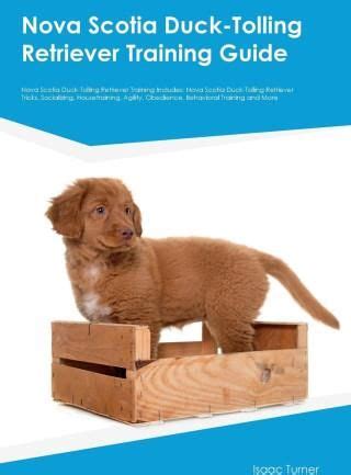 scotia tolling retriever training guide Reader