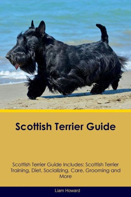 scottish terrier training guide book PDF