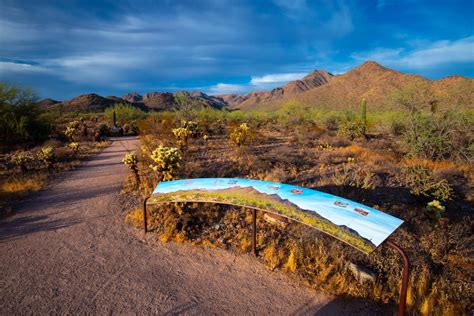 scottsdale's mcdowell sonoran preserve