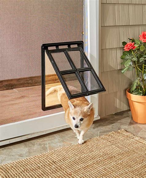 screen door with dog