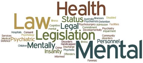 scrutiny of mental health legislation scrutiny of mental health legislation Epub