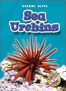 sea anemones blastoff readers oceans alive blastoff readers level 2 Reader