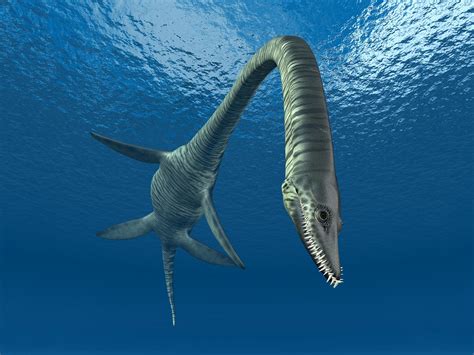 sea monsters prehistoric creatures of the deep Epub