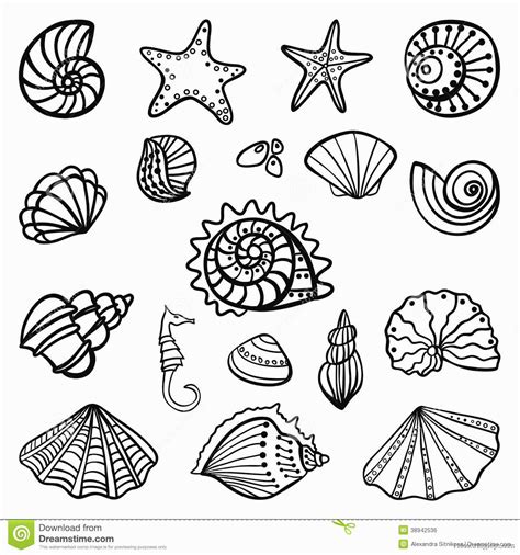 sea shell coloring book pdf download Epub