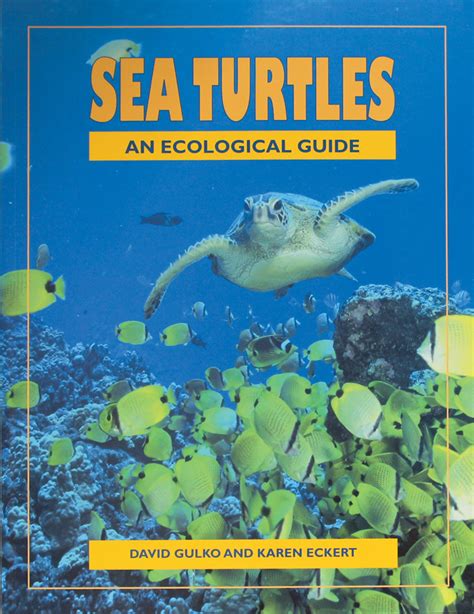 sea turtles an ecological guide Doc