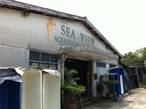 sea view aquarium singapore private limited