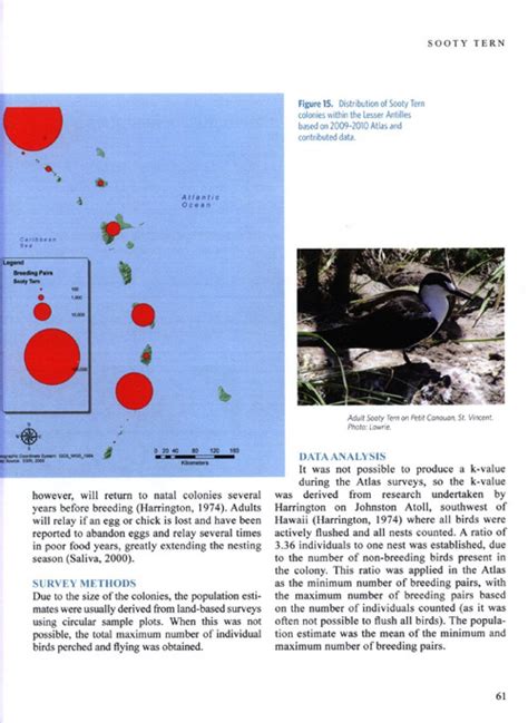 seabird breeding atlas of the lesser antilles Kindle Editon