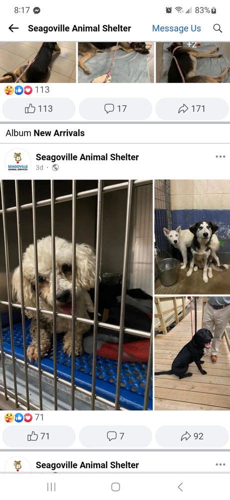 seagoville animal shelter