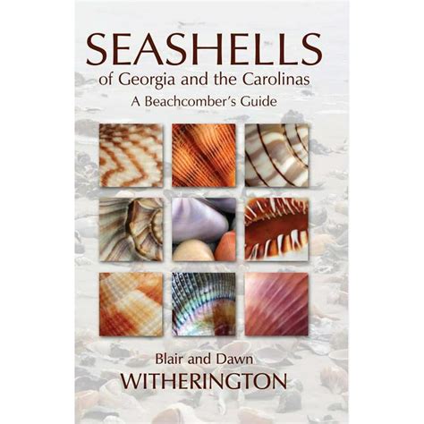 seashells of georgia and the carolinas Epub