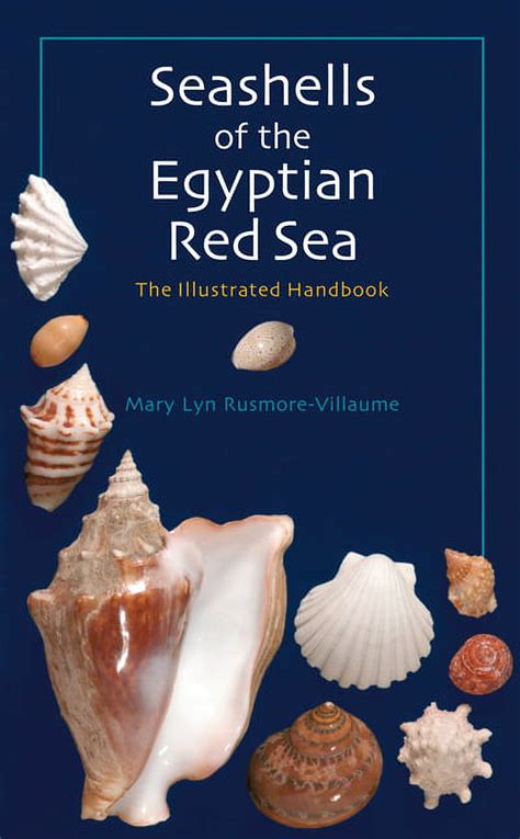 seashells of the egyptian red sea the illustrated handbook Reader