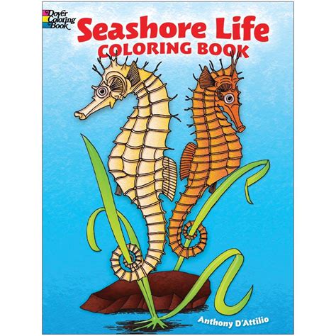 seashore fun dover coloring books Doc