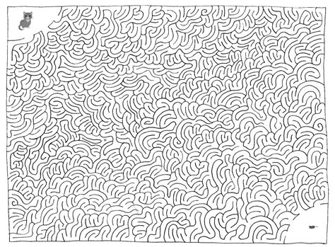 secret picture mazes Reader