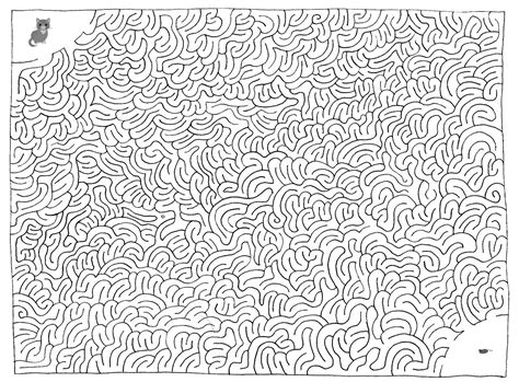 secret picture mazes Reader