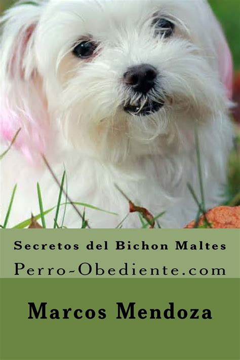 secretos del bichon maltes perro obediente com Epub