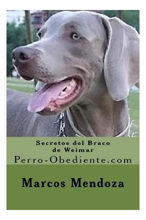 secretos del braco weimar perro obediente com Kindle Editon