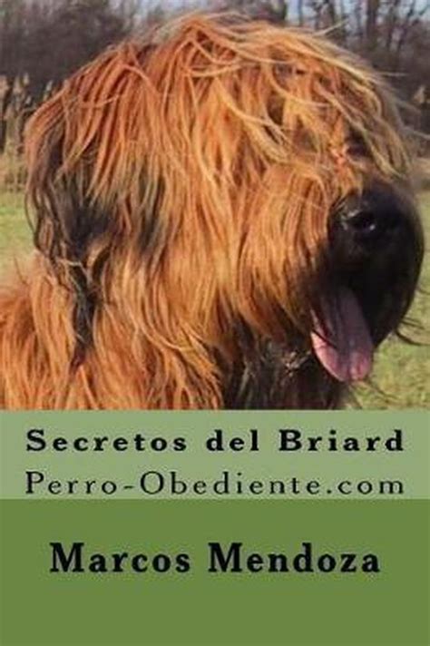 secretos del briard perro obediente com spanish Doc
