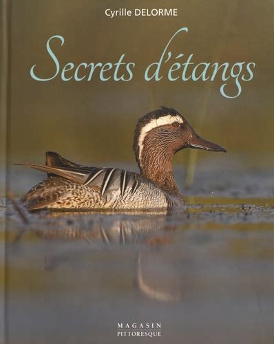 secrets d tang cyrille delorme Epub