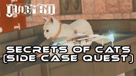 secrets of cats judgement game