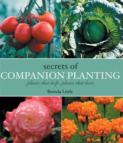 secrets of companion planting plants that help plants that hurt Kindle Editon