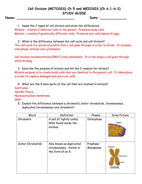 section 1 meiosis study guide answers answers pdf Epub