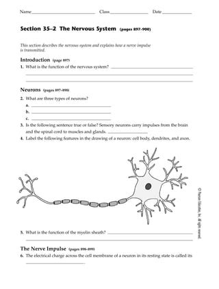 section 35 2 the nervous system answer key Doc