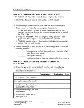 section 4 transcription study guide answers Kindle Editon