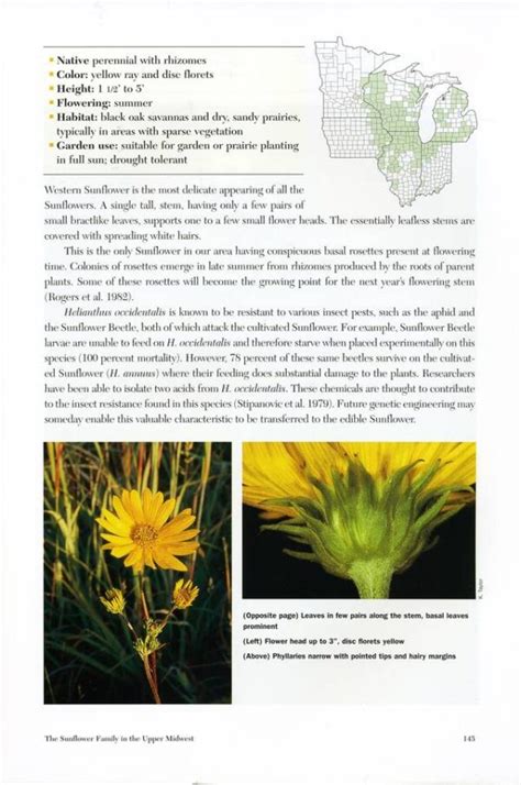 sedges of indiana and the adjacent states the non carex species PDF
