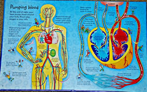 see inside your body Reader