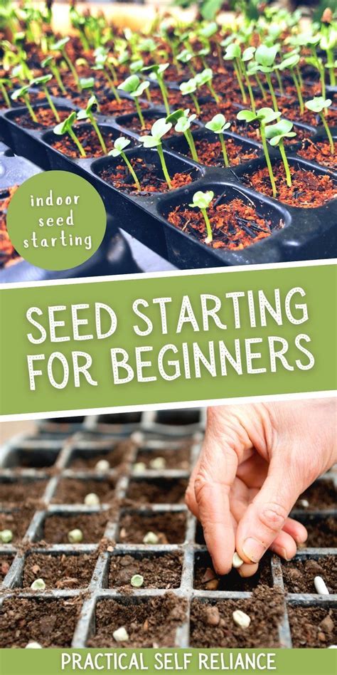 seed starting beginners guide to seed gardening Doc