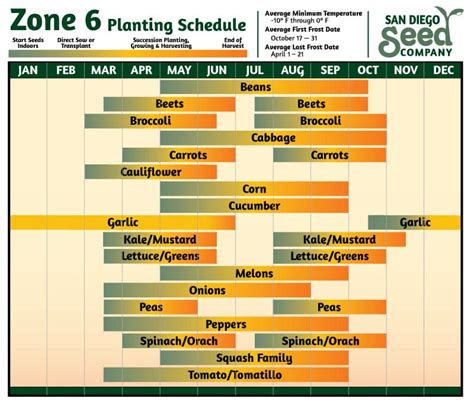 Seed Starting Chart Zone 6