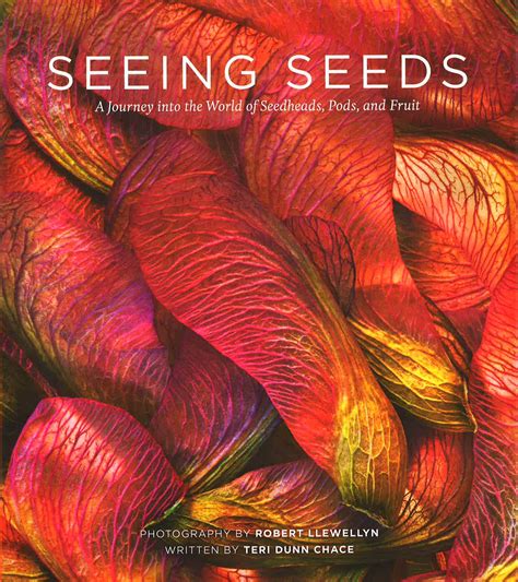 seeing seeds a journey into the world of seedheads pods and fruit PDF