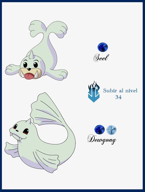 seel evolve