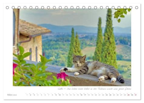 sehnsucht toskana tischkalender toskanischen monatskalender PDF
