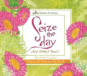 seize the day and make it yours 2013 box or daily calendar Epub