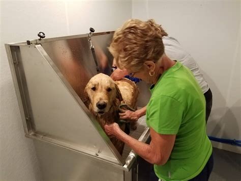 self service dog wash near me Kindle Editon