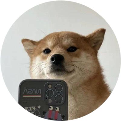 selfie dog coin price