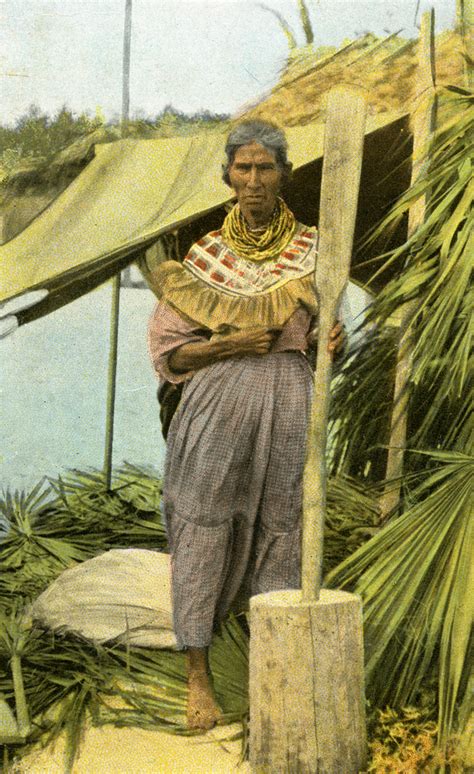 seminole indians in old picture postcards PDF