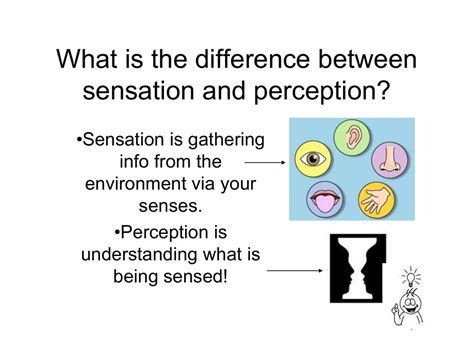 sensation and perception Doc