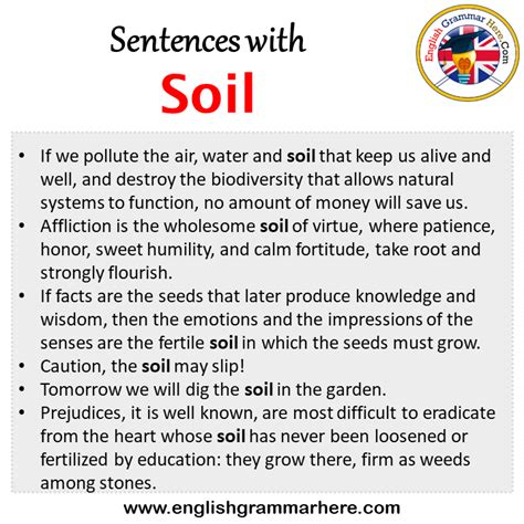 sentence of soil