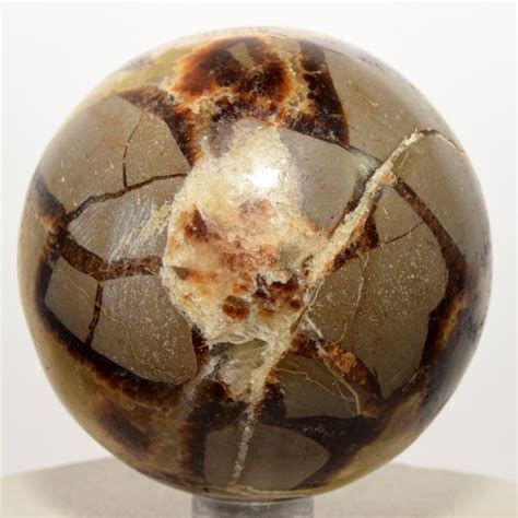 septarian dragon stone