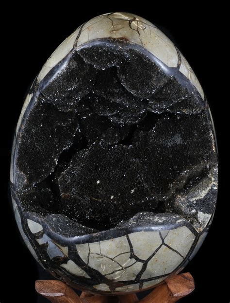 septarian egg