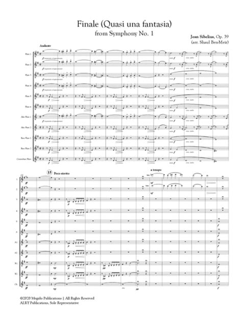 sequenza quasi una fantasia percussion PDF