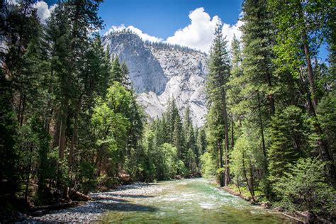 sequoia and kings national park